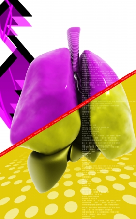 Digital illustration of human lungs in colour background	の写真素材