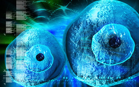 Digital illustration of  ovum cell in colour  background	