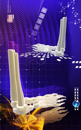 Digital illustration of  Leg bone  in colour background 	の写真素材