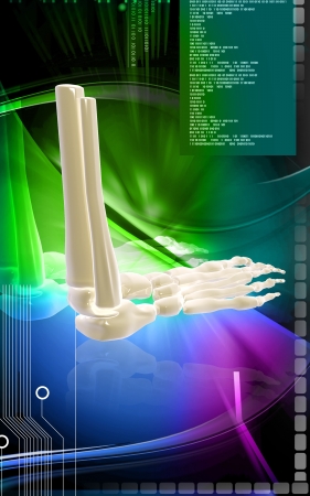 Digital illustration of  Leg bone  in colour background 	の写真素材