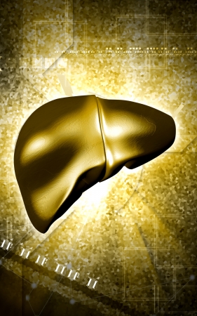 Digital illustration of  liver  in  colour  background 	の写真素材