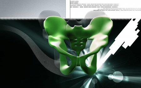 Digital illustration  of pelvic girdle in    colour background  	の写真素材
