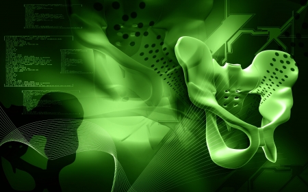 Digital illustration  of pelvic girdle in    colour background  	の写真素材