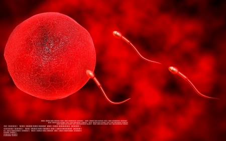 Digital illustration of  sperm  in colour  background 	の写真素材