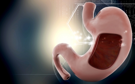 Digital illustration of  stomach  in colour  background 	の写真素材