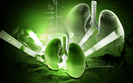 Digital illustration of human lungs in colour background	の写真素材