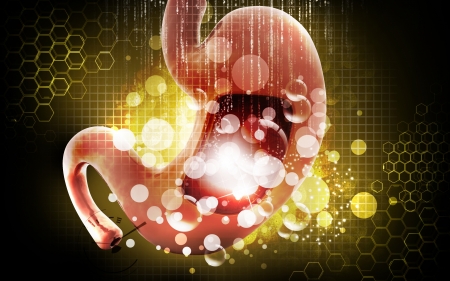 Digital illustration of  stomach  in colour  background 	の写真素材