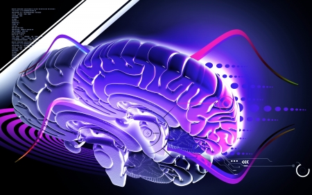 Digital illustration of  brain in colour  background 	の写真素材
