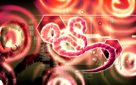 Digital illustration of Ebola virus in   colour background  	の写真素材