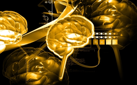 Digital illustration of  brain in colour  background 	の写真素材