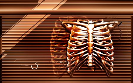 Digital illustration of  rib cage  in colour  background	の写真素材