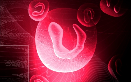 Digital illustration of  ovum cell in colour  background	の写真素材