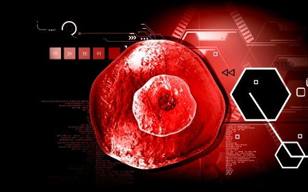 Digital illustration of  ovum cell in colour  background	の写真素材