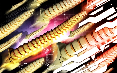 Digital illustration  of back bone in    colour background  の写真素材