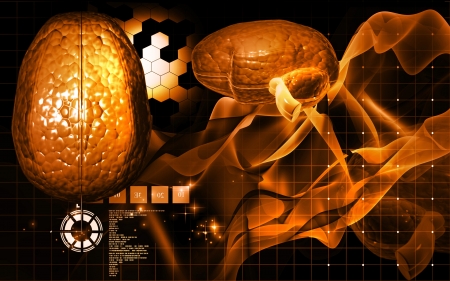 Digital illustration of  brain in colour  background 	の写真素材