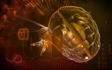 Digital illustration of  brain in colour  background 	の写真素材