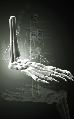Digital illustration of  Leg bone  in colour background 	の写真素材