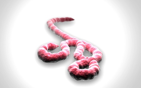 Digital illustration of Ebola virus in   colour background  	の写真素材