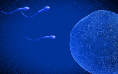 Digital illustration of  sperm  in colour  background 	の写真素材