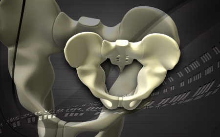 Digital illustration  of pelvic girdle in    colour background  	の写真素材
