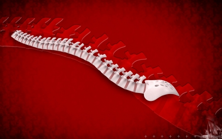 Digital illustration  of back bone in    colour background  	の写真素材