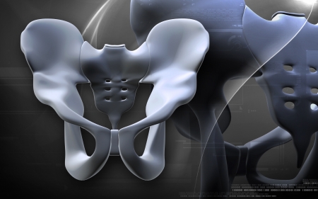 Digital illustration  of pelvic girdle in    colour background  	の写真素材