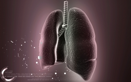 Digital illustration of human lungs in colour background	の写真素材