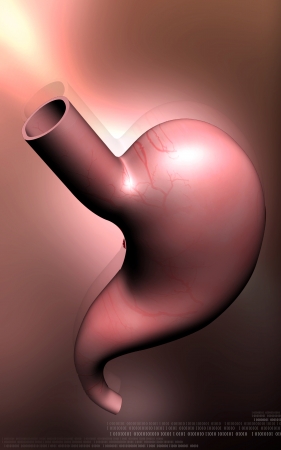 Digital illustration of  stomach  in colour  background 	の写真素材