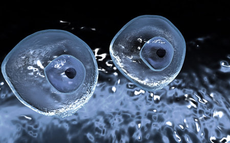 Digital illustration of  ovum cell in colour  background	