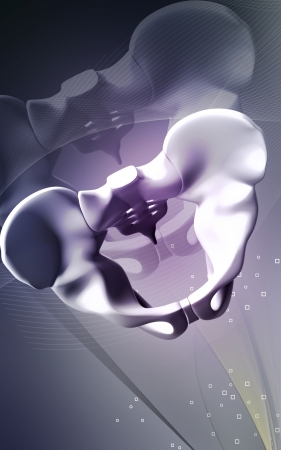 Digital illustration  of pelvic girdle in    colour background  	の写真素材