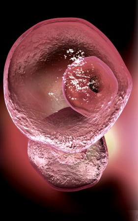 Digital illustration of  ovum cell in colour  background	の写真素材