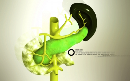 Digital illustration of  pancreas and spleen  in colour  background	の写真素材