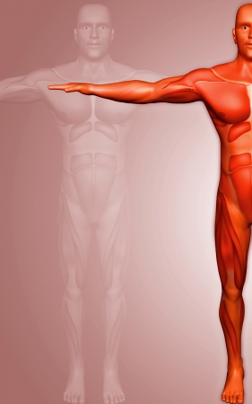 Digital illustration of  human body in colour  background 	の写真素材