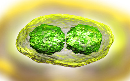 Digital  illustration  of pox virus in   colour background  	