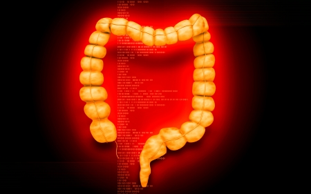 Digital illustration of  Intestine in colour  の写真素材