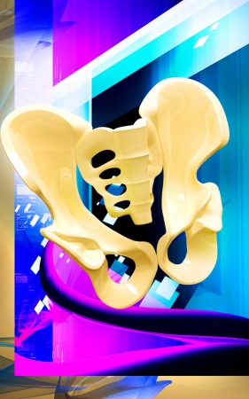 Digital illustration  of pelvic girdle in    colour の写真素材