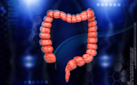Digital illustration of  Intestine in colour  background	の写真素材