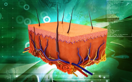 Digital illustration of Skin in colour backgroundの写真素材