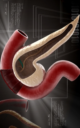 Digital illustration of pancreas  in colour background 	の写真素材