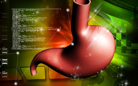 Digital illustration of  stomach  in colour  background 	の写真素材