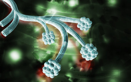 Digital illustration of  alveoli  in  colour  background	