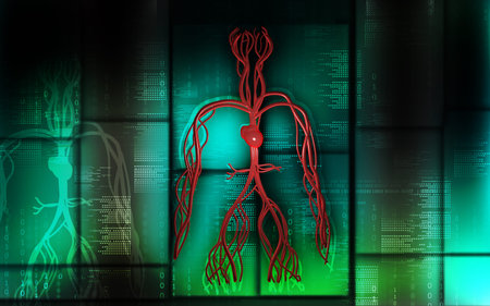 Digital illustration of vascular system in colour background 	