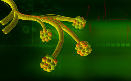 Digital illustration of  alveoli  in  colour  background	