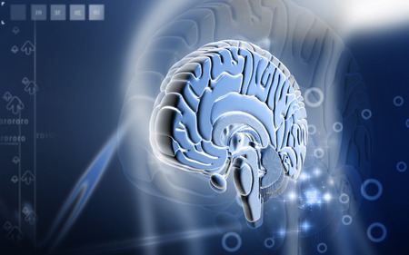 Digital illustration of  brain in colour  backgroundの写真素材