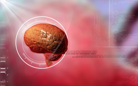 Digital illustration of  brain in colour  backgroundの写真素材