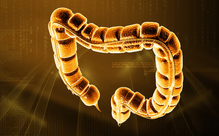 Digital illustration of large intestine in colour backgroundの写真素材