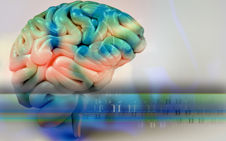 Digital illustration of  brain in colour  backgroundの写真素材