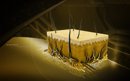 Digital illustration of Skin in colour backgroundの写真素材