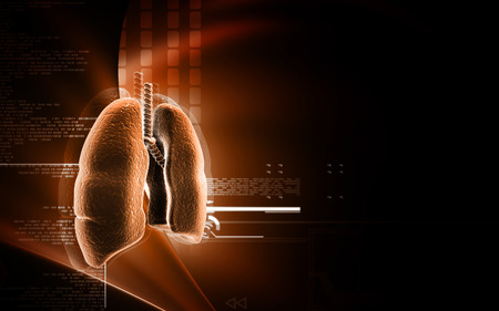 Digital illustration of human lungs in colour backgroundの写真素材
