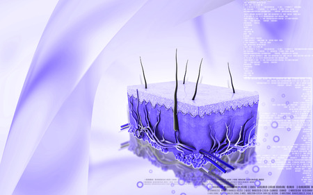 Digital illustration of Skin in colour backgroundの写真素材